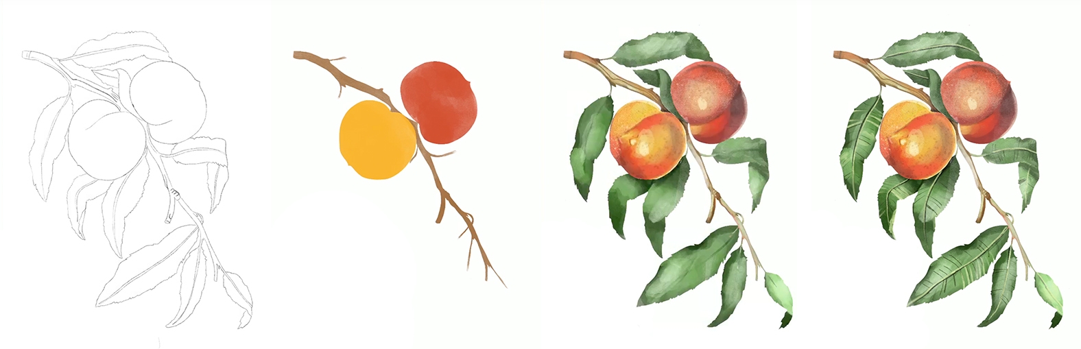 Drawing Process