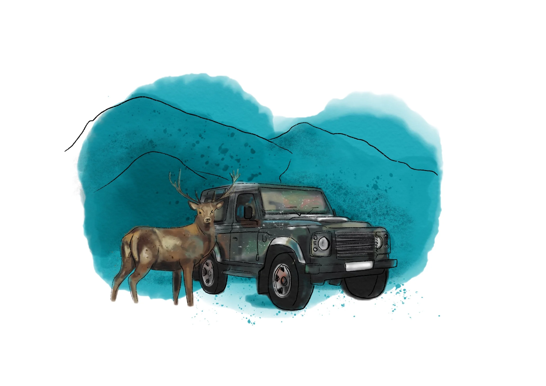 8 Highland Safari.jpg