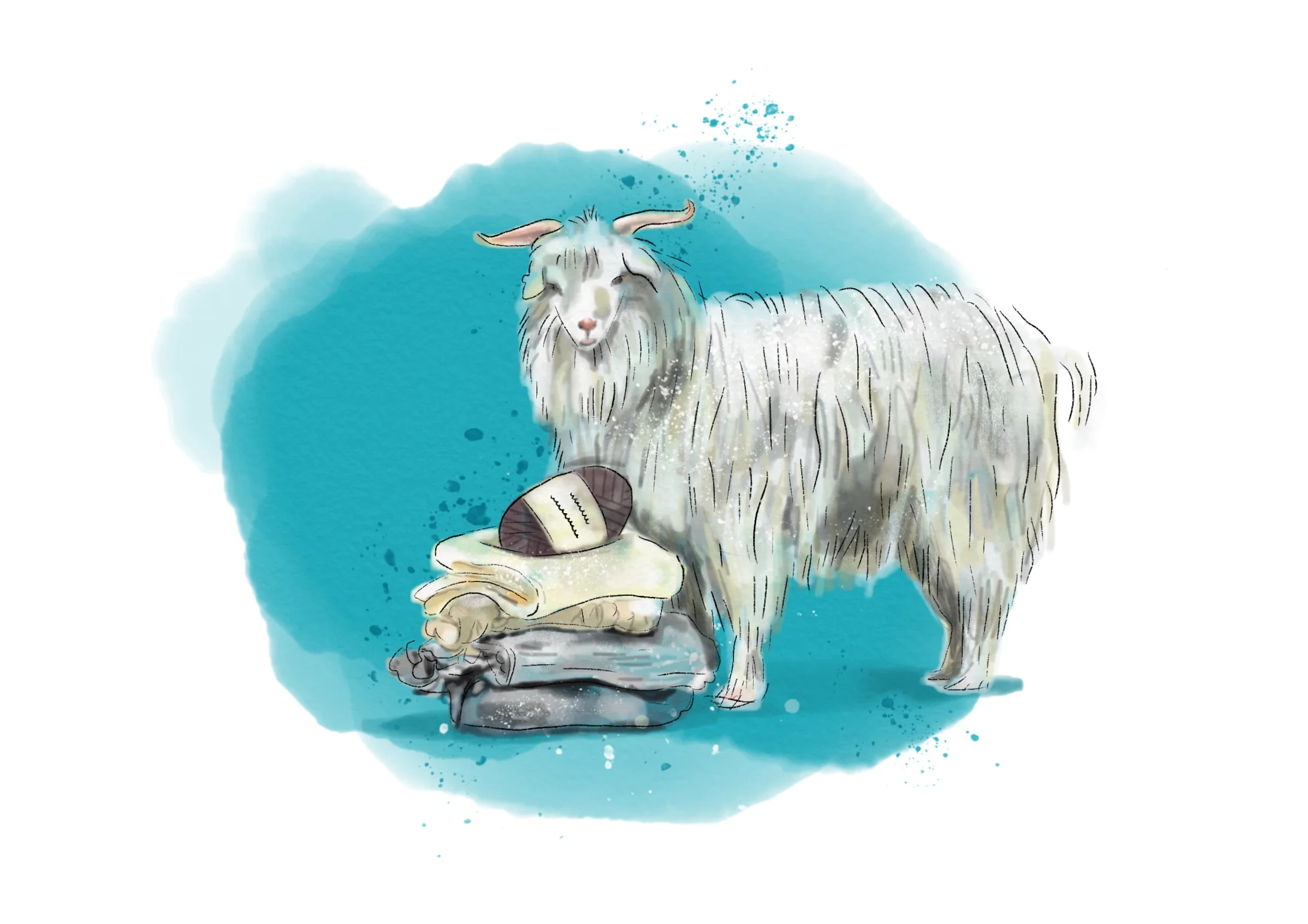 16 Cashmere and Goat.jpg