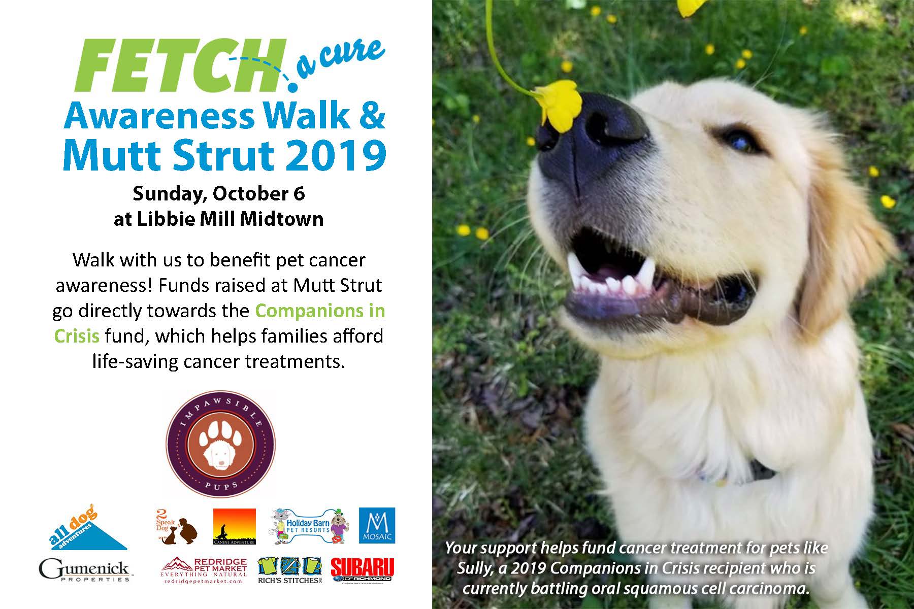 Fetch-a-Cure event poster October 6
