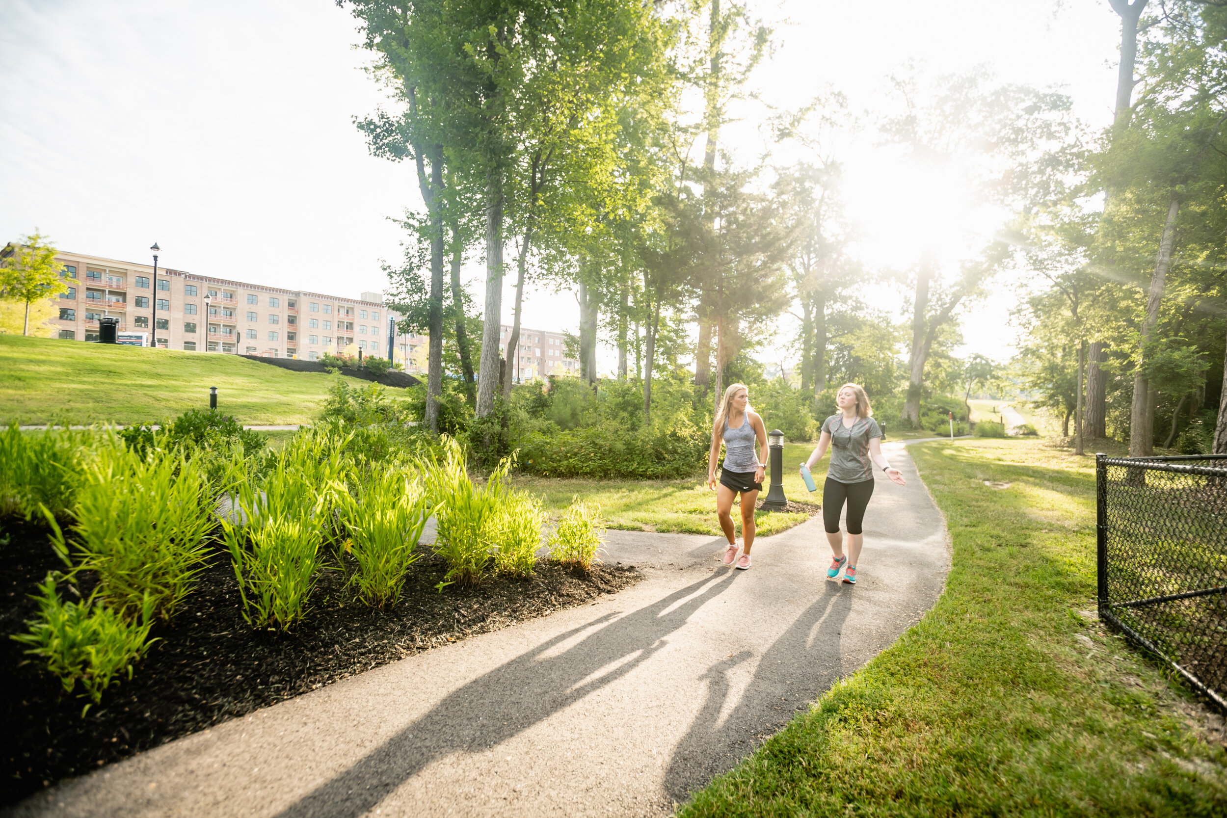 path-libbiemill-summer-2018-jakec-0050.jpg