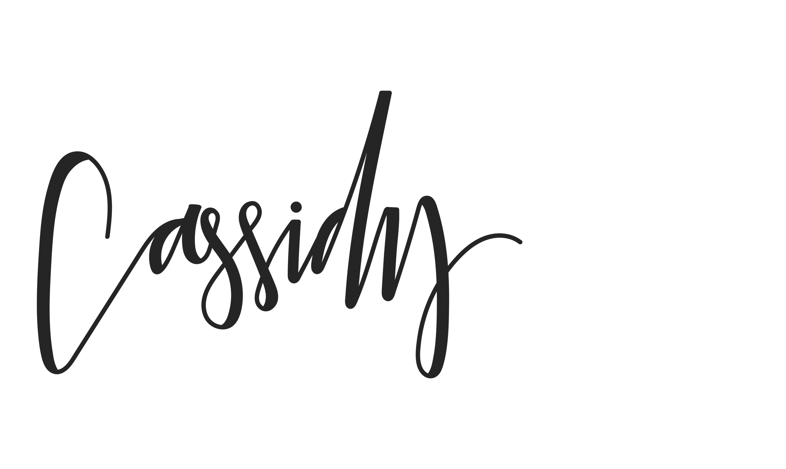 Cassidy.png
