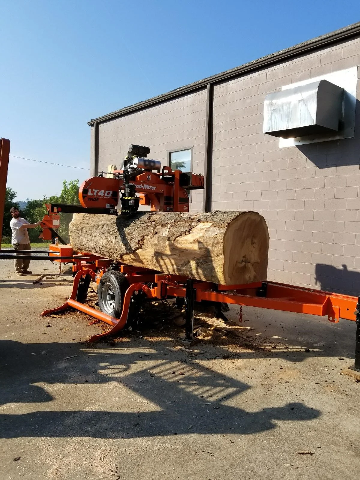 Sawing of a nice Oak Log