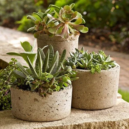 All About Hypertufa 