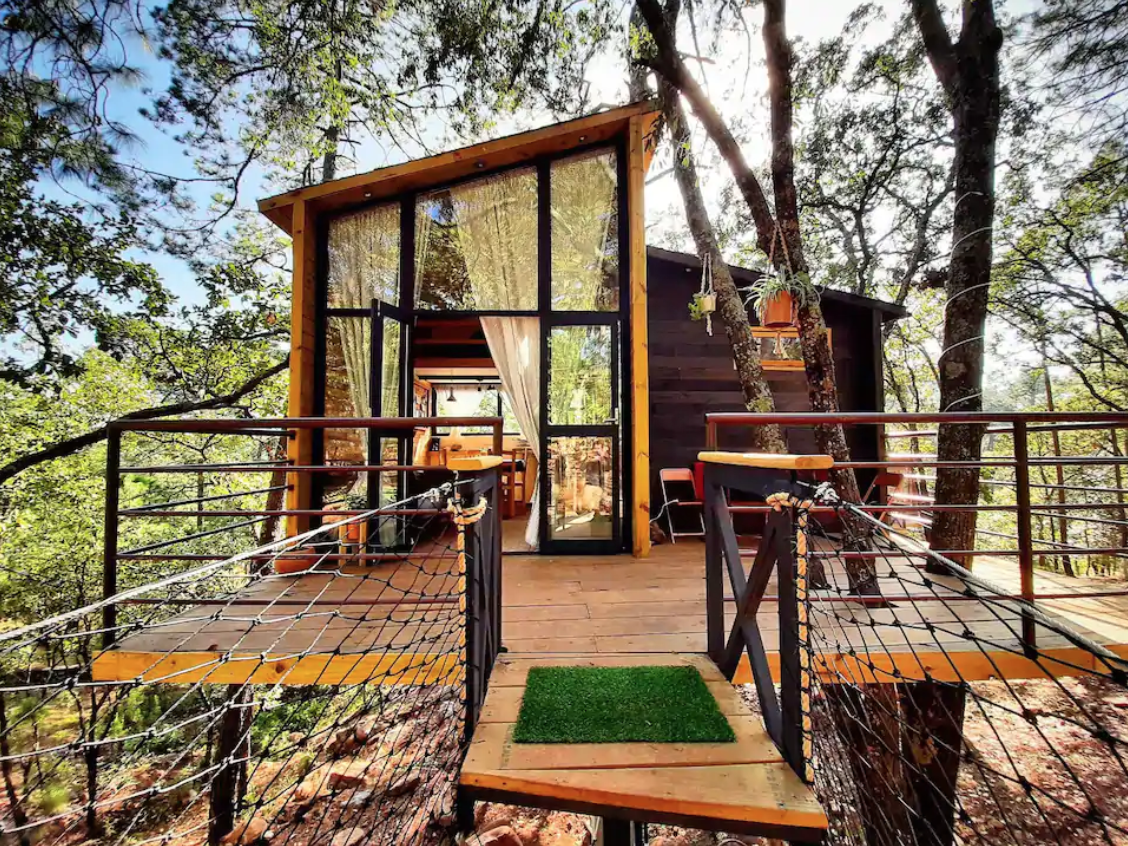 Cabin Fever