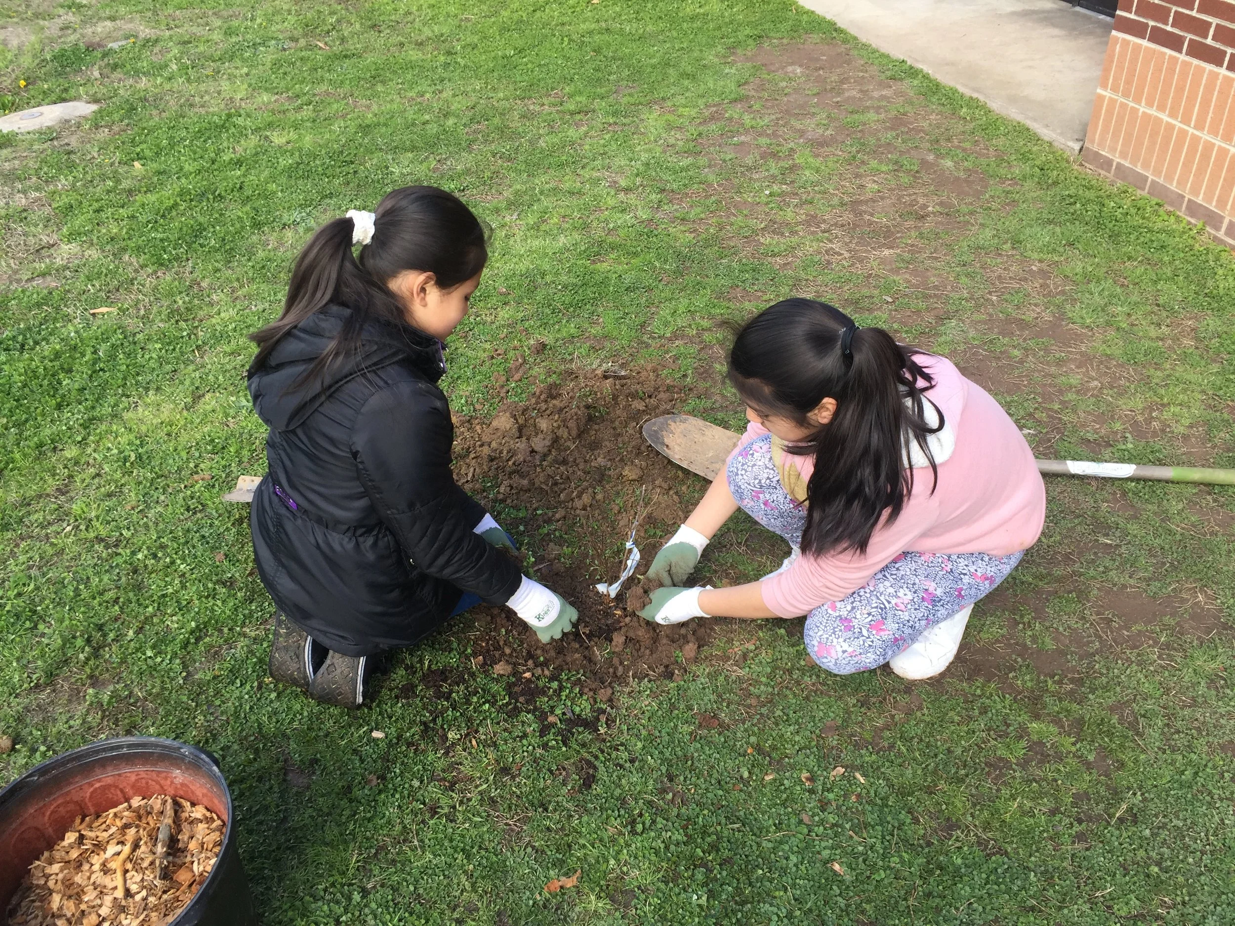 Tree Planting at Pearsontown Elementary School