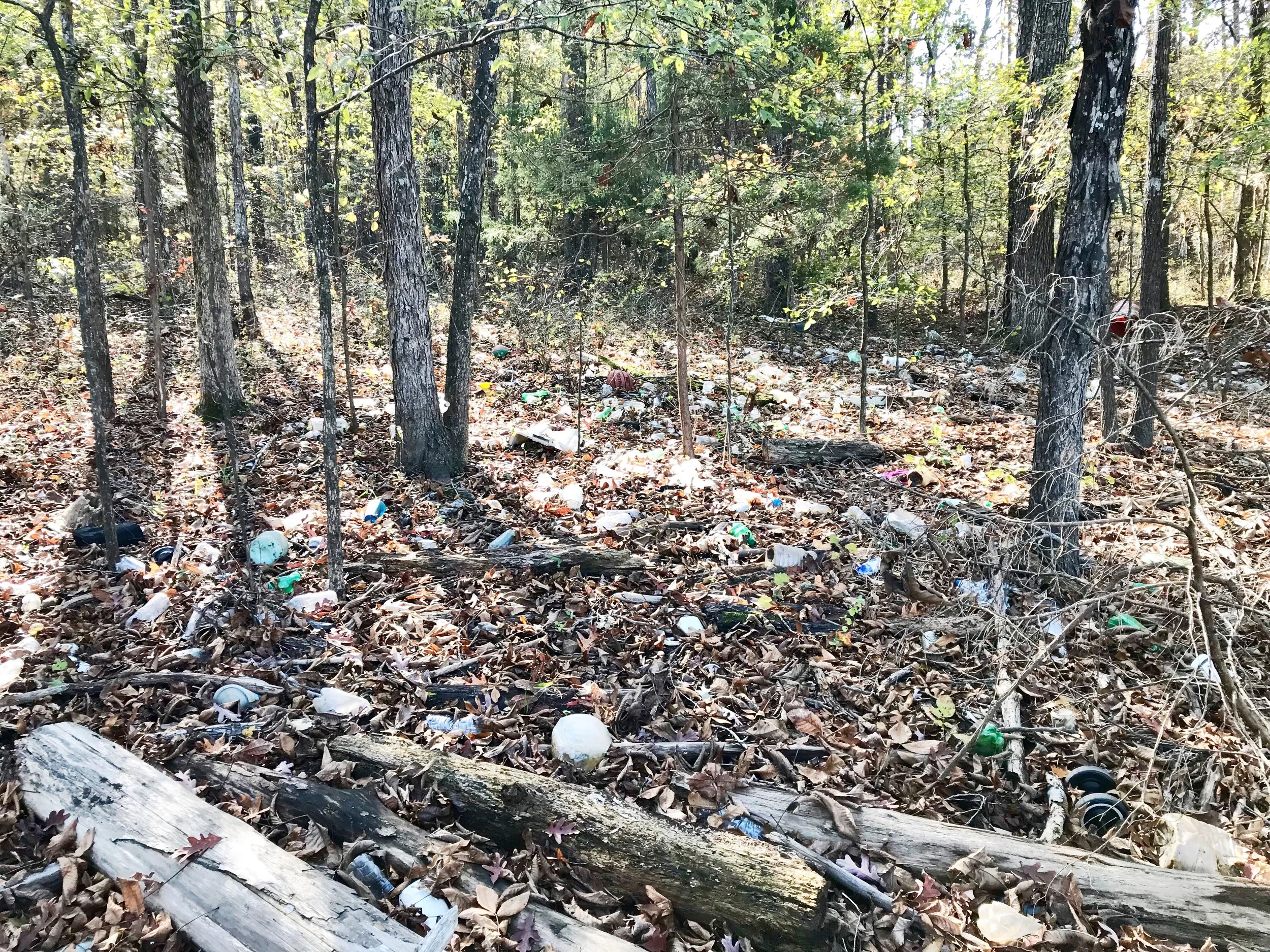 Black Friday Redwood Road Falls Lake Litter Cleanup Blitz