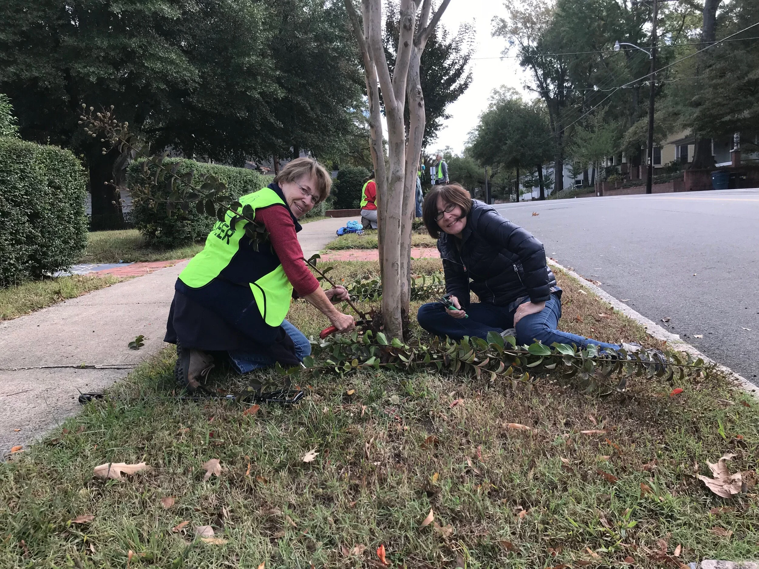 Tree Keeper Training Series