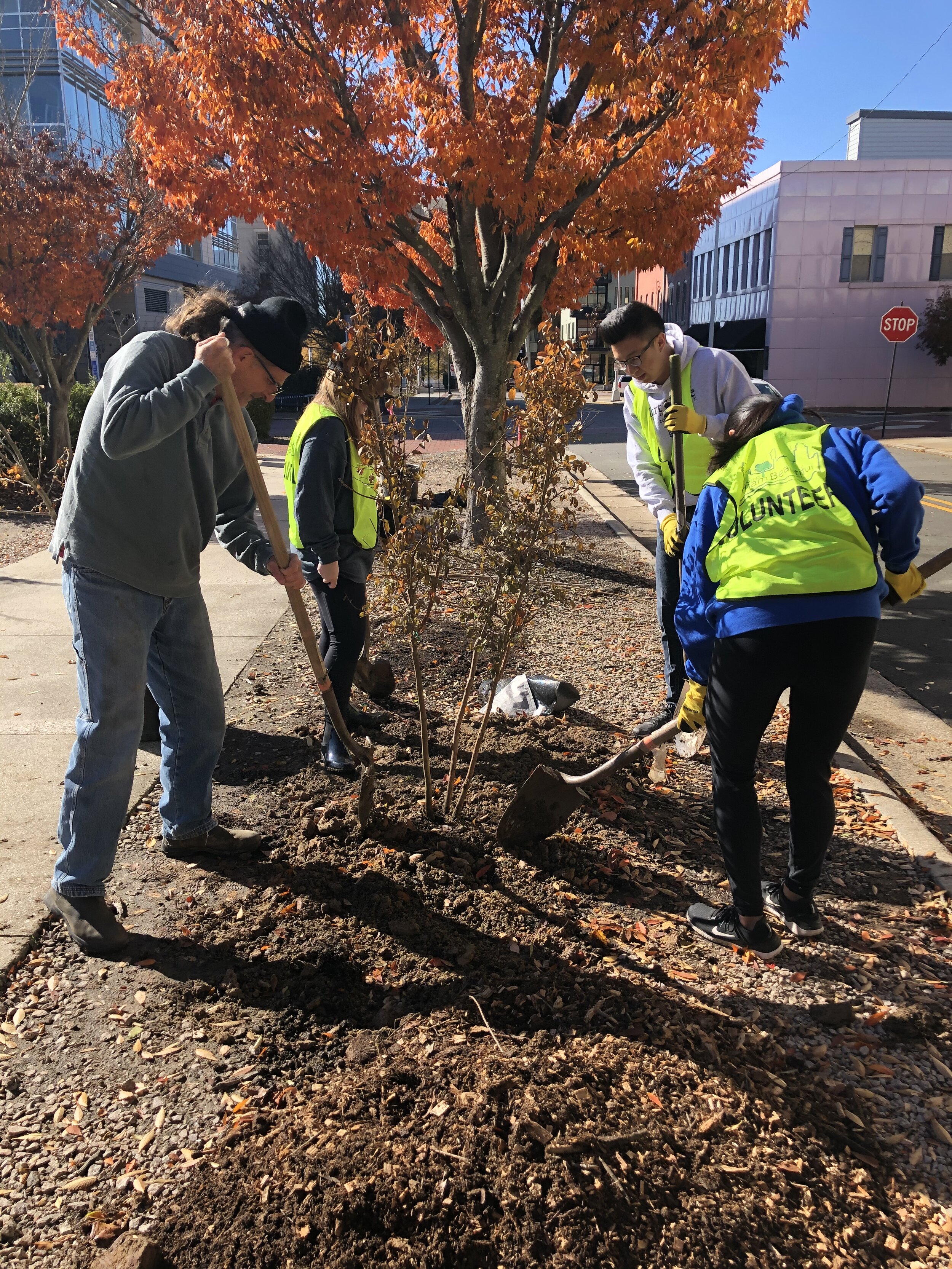 Tree Planting at W.G. Pearson Elementary 