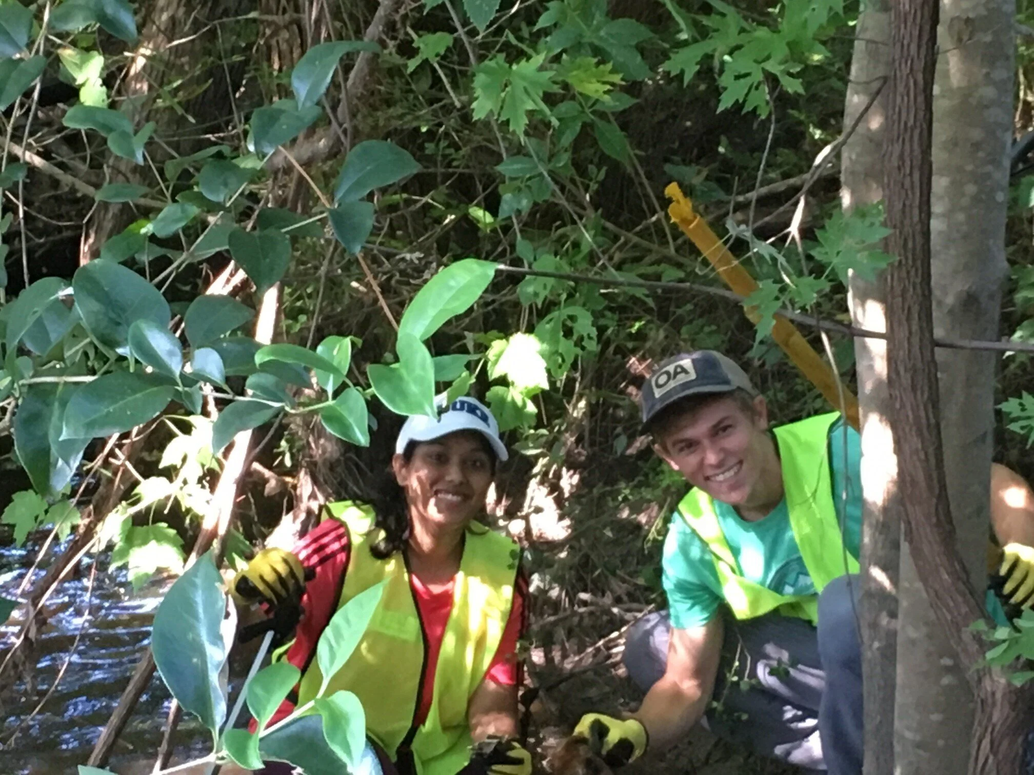 Litter Cleanup and Observations at Long Meadow Park