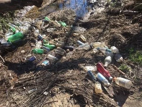 Third Fork Creek Trash Cleanup