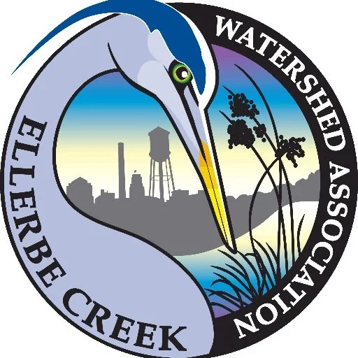 Ellerbe Creek Bioblitz 2021!