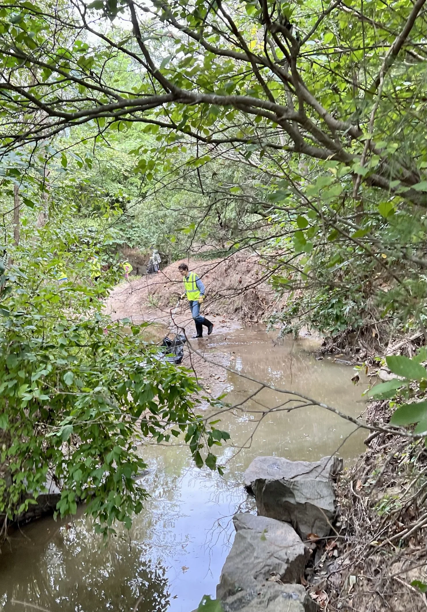 Third Fork Creek Cleanup at W Lakewood Avenue