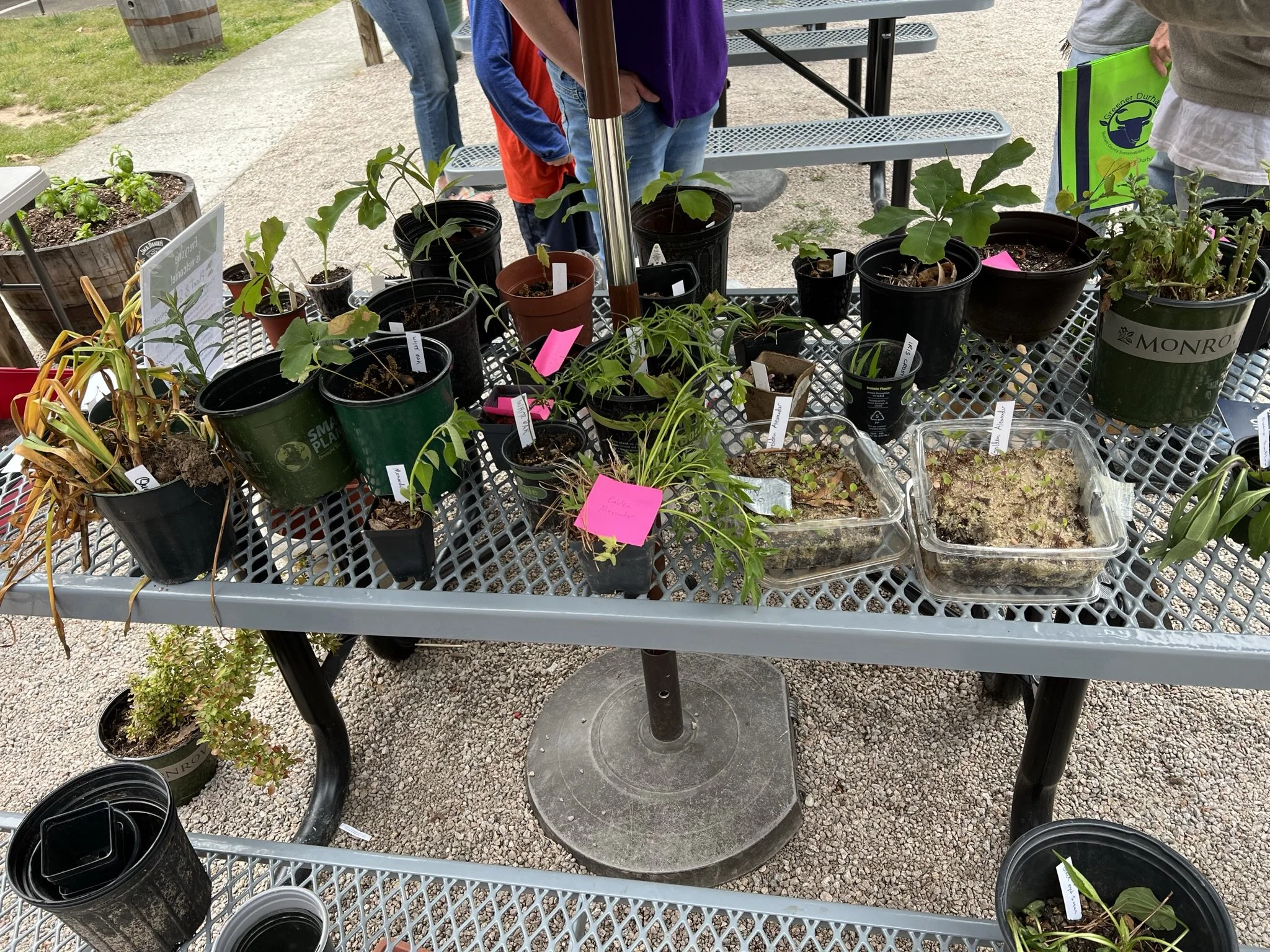 Plant Swap