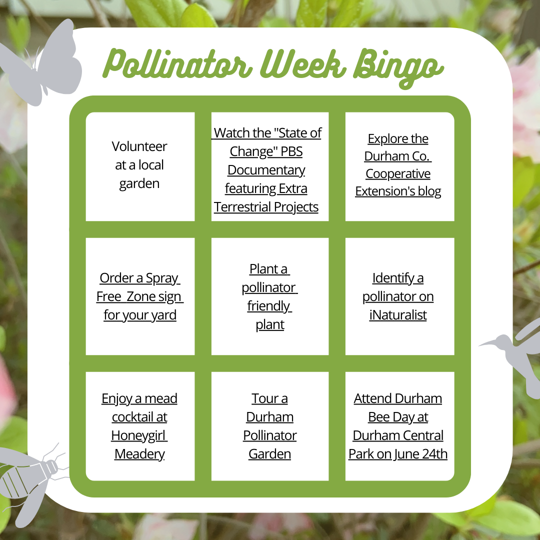 Pollinator Week Bingo.png