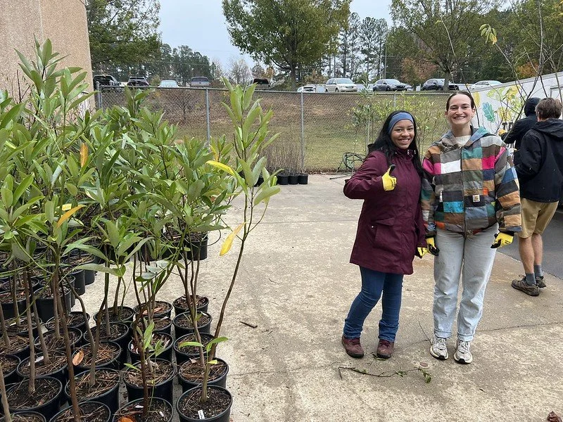 Tree Giveaway Spring 2025