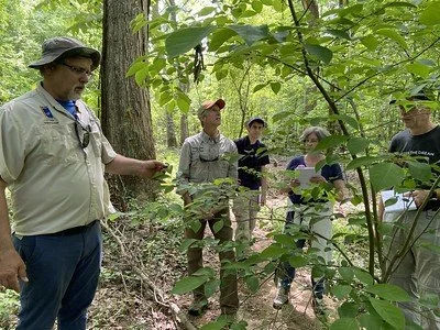 Tree ID Walk at Matthews Tract