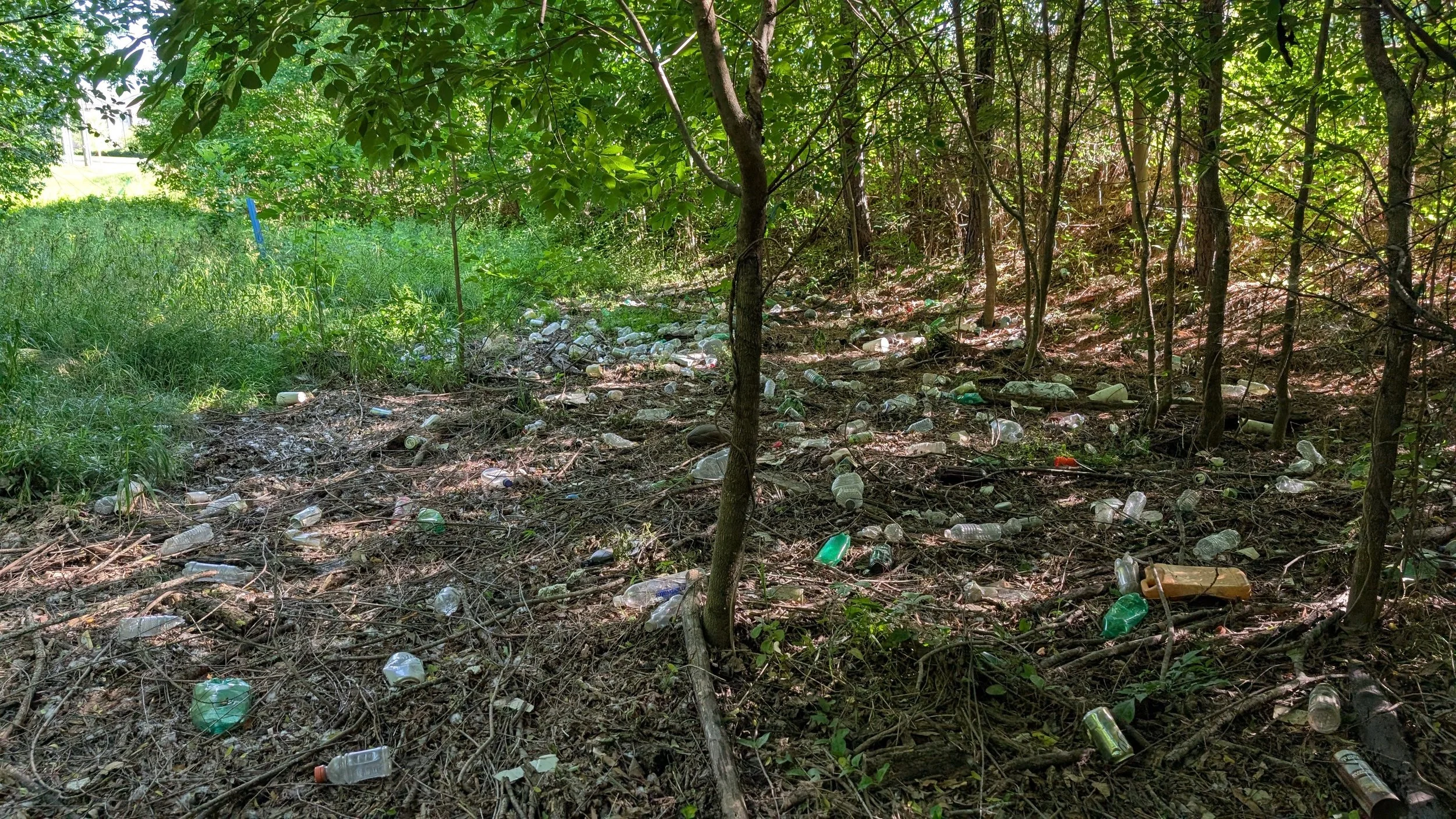 Cleanup at Sandy Creek/New Hope Creek Confluence