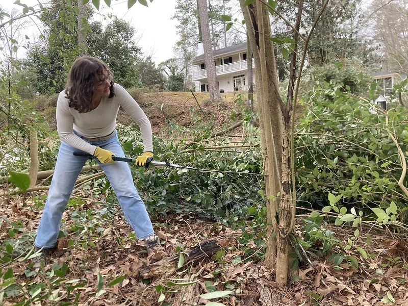 Invasive Plant Removal at Elmira Ave Park