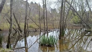 Sandy Creek Park Nature Walk with DPR