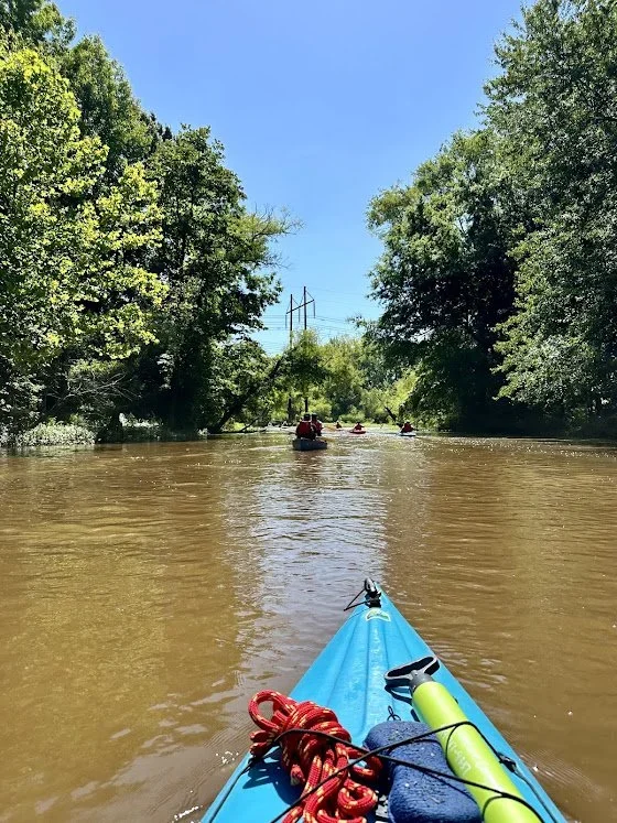 Triangle Area Discovery Paddle