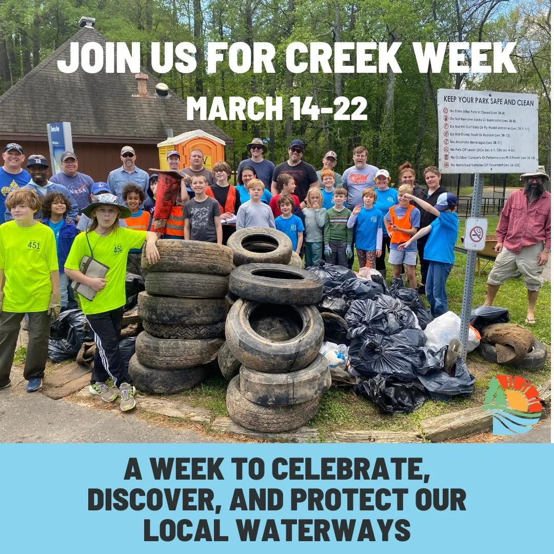 Twin Lakes Park Cleanup