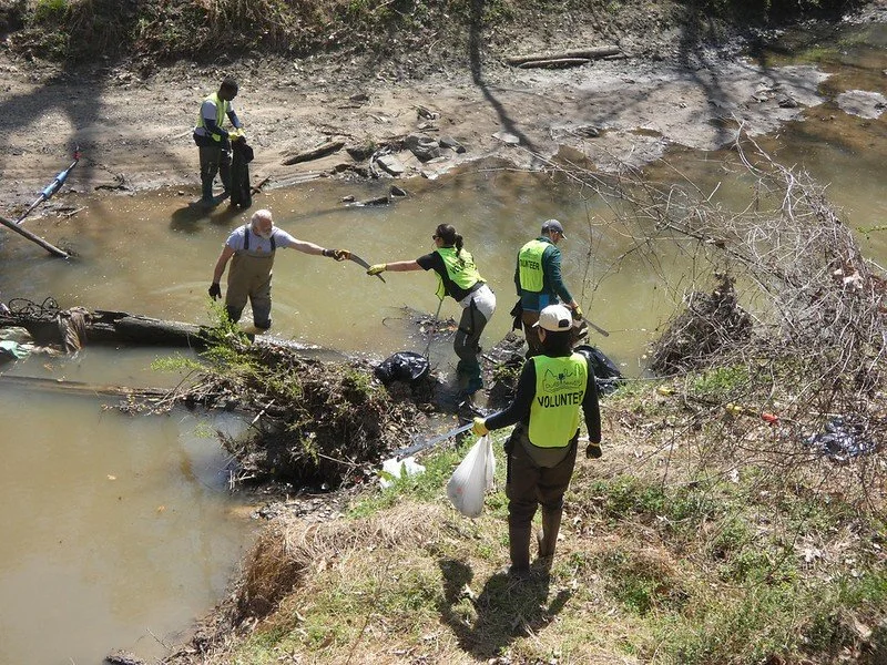 Beaver Marsh Preserve Cleanup