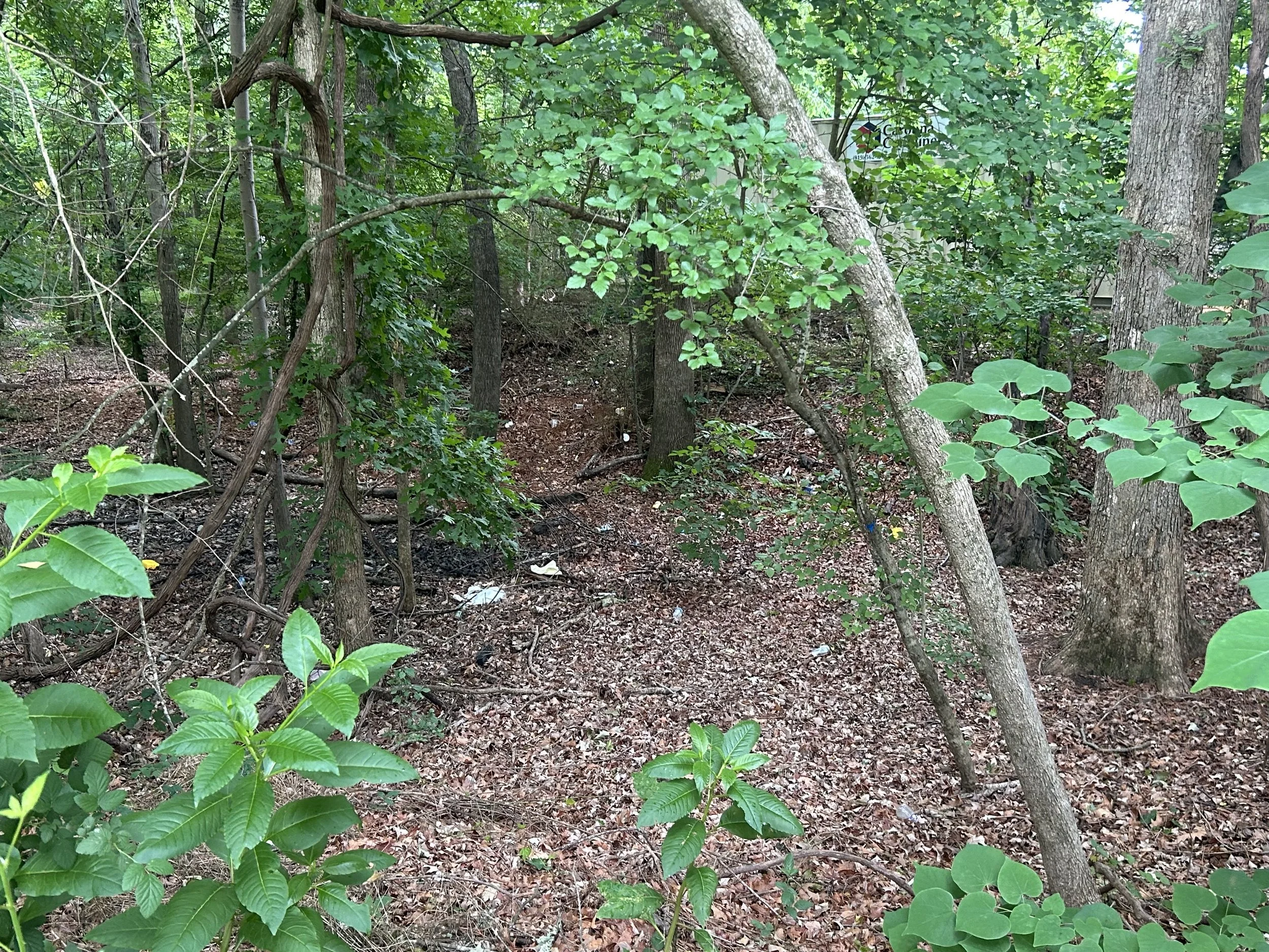 Meridian Parkway Cleanup