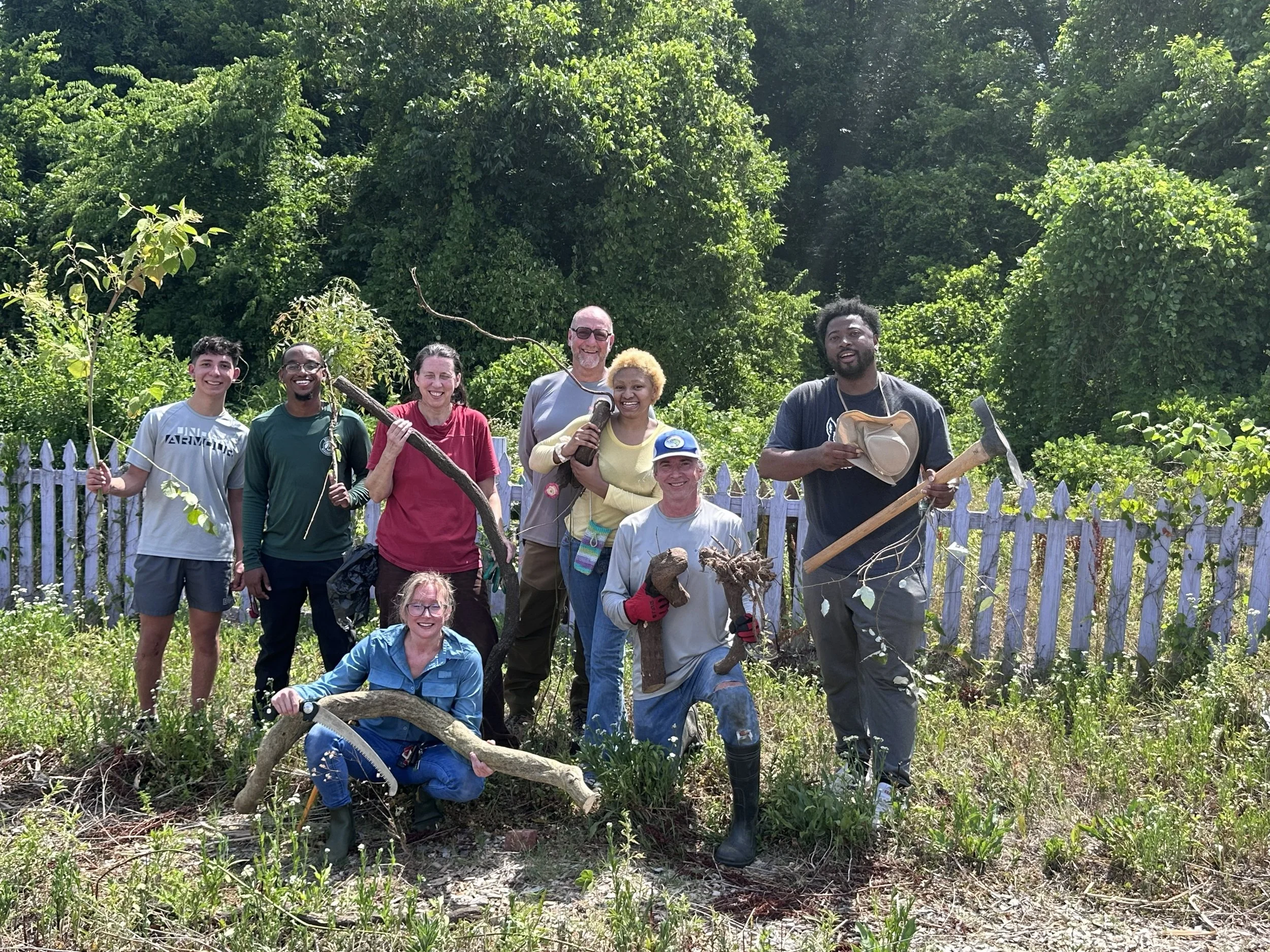 Burke Street Invasive Plant Removal