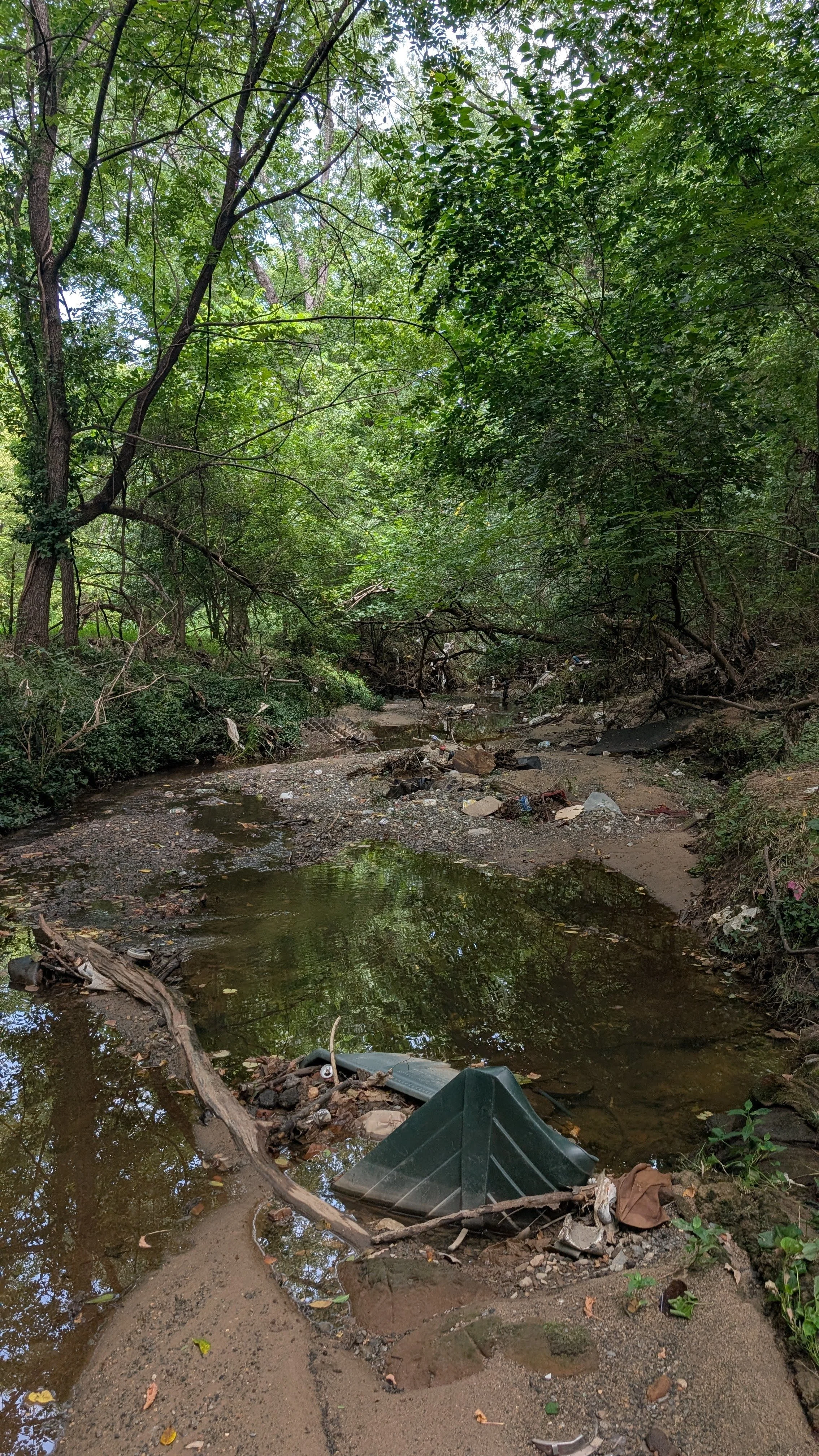 Goose Creek Cleanup + Large Item Removal with Friends of Ellerbe Creek