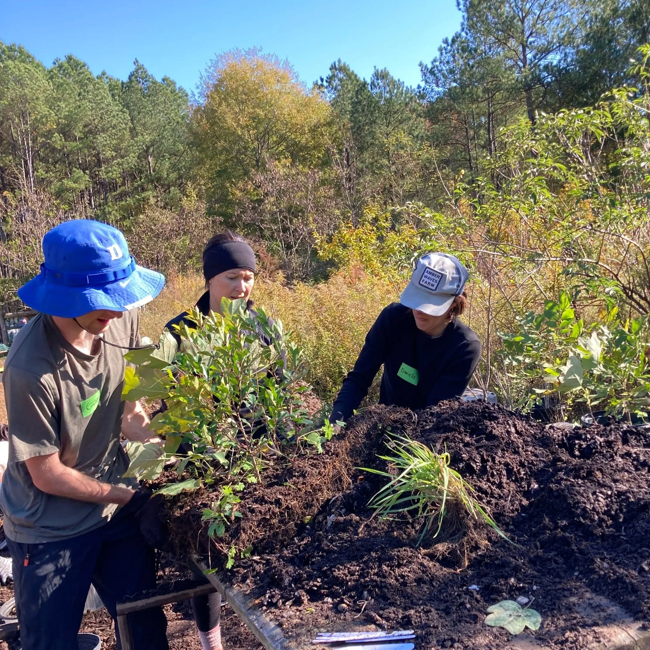 The Big Dig at Panther Creek Forest Farm