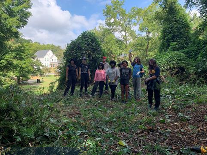Carroll Street Park: Remove Invasives &amp; Plant Natives!