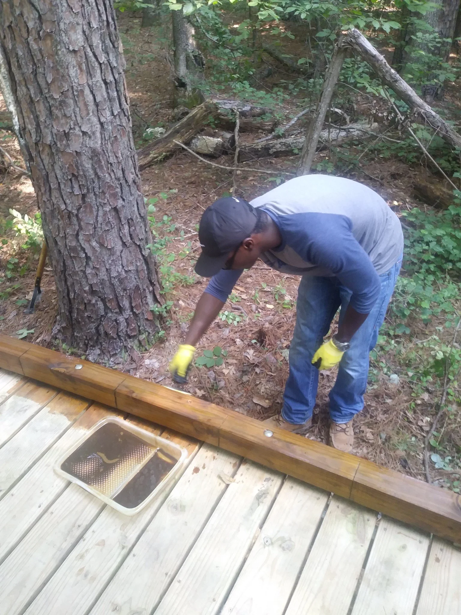Sandy Creek Park Boardwalk Restoration