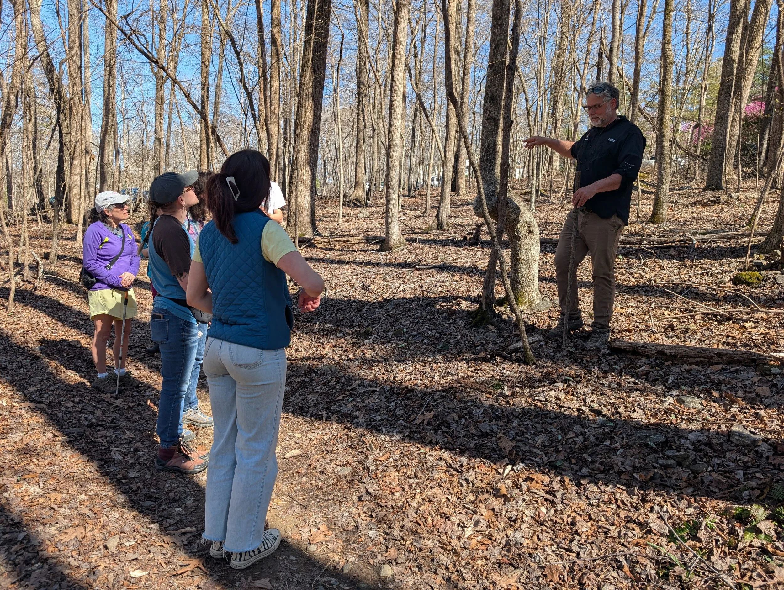 Autumn Tree ID Walk