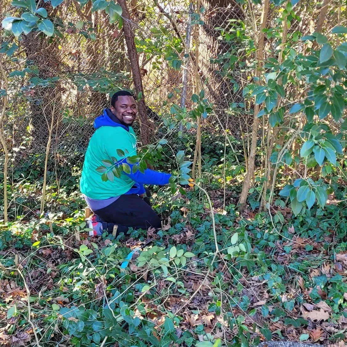 Invasive Plant Removal at Lakeview Park