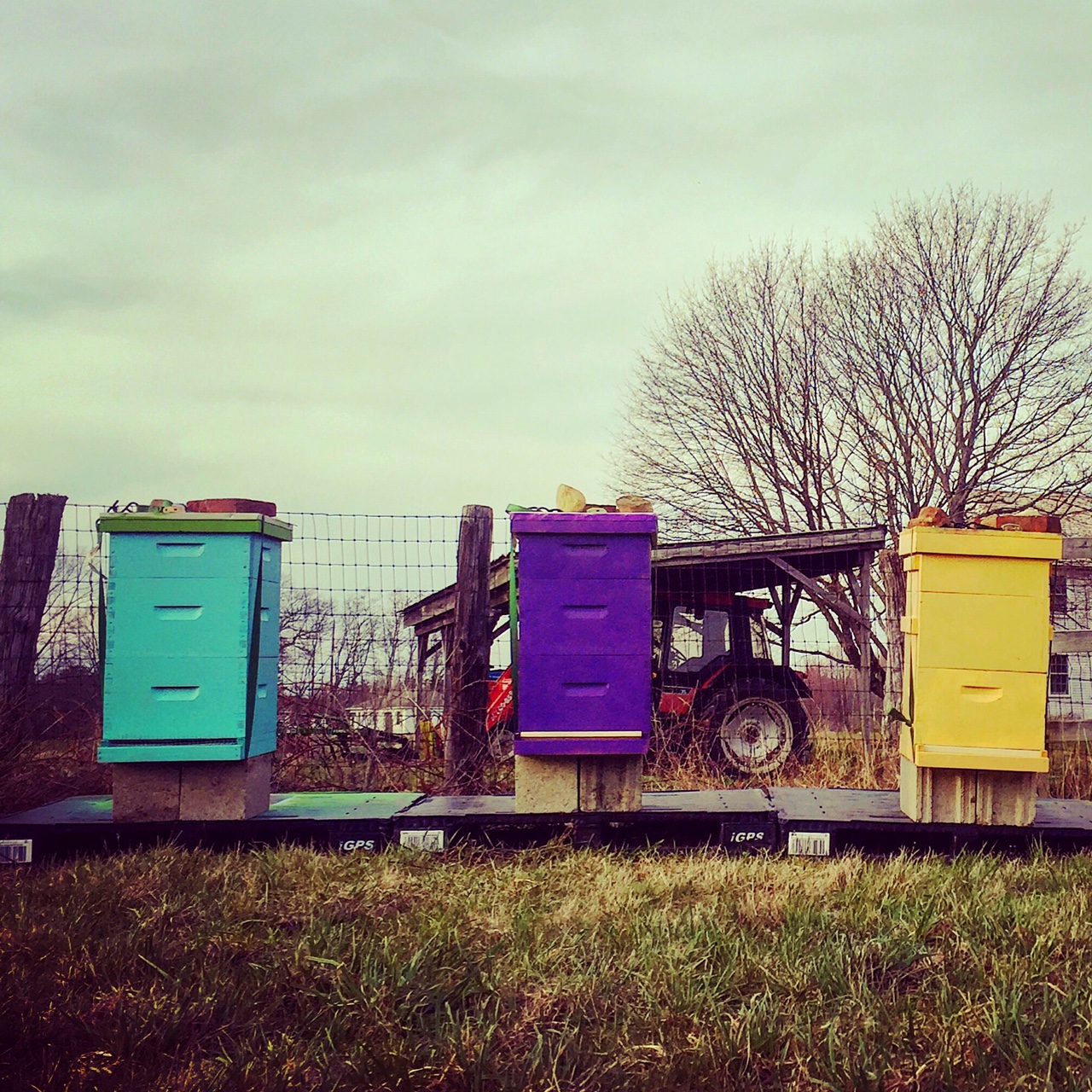 Credit: Hallie Leonard