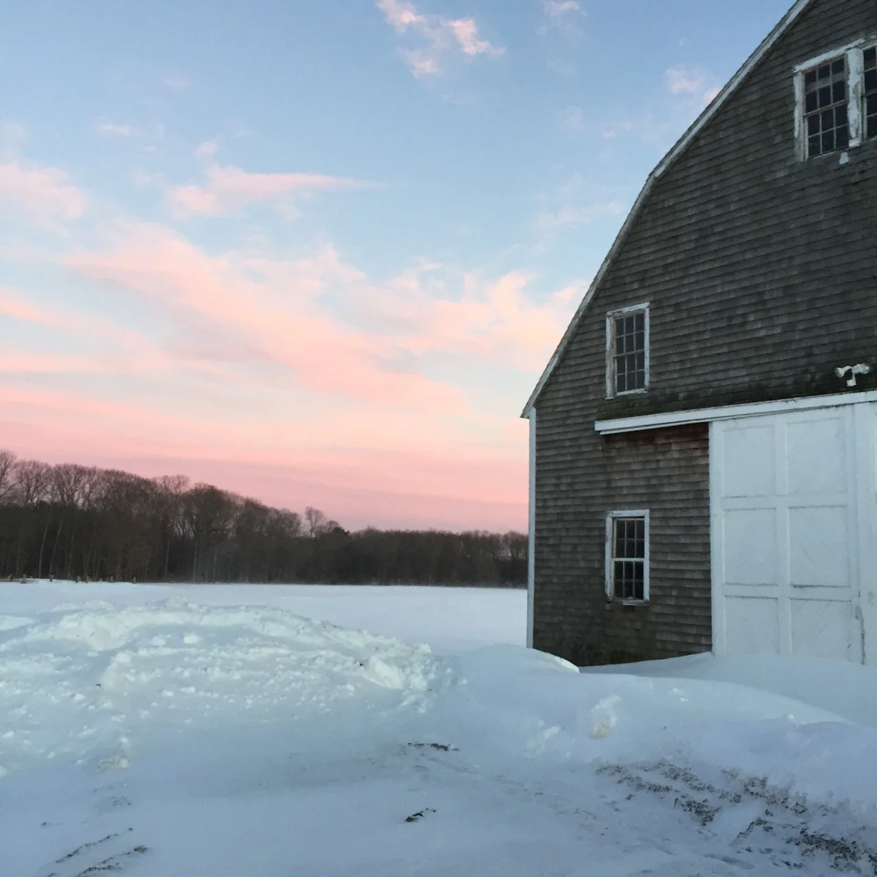 Credit: Hallie Leonard