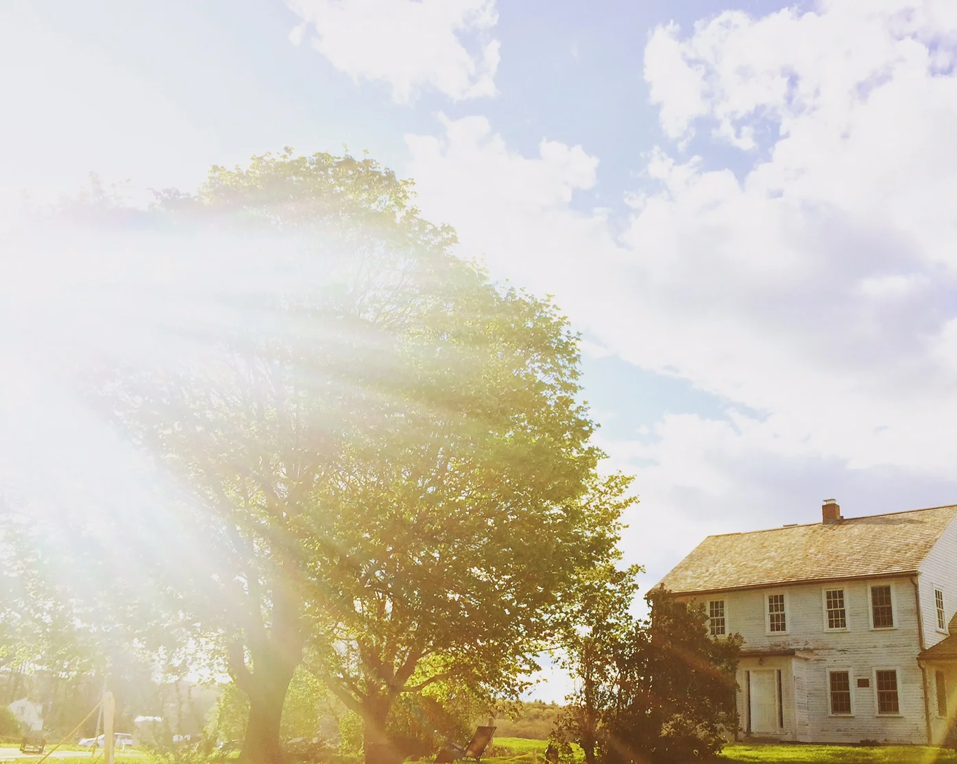 Credit: Hallie Leonard