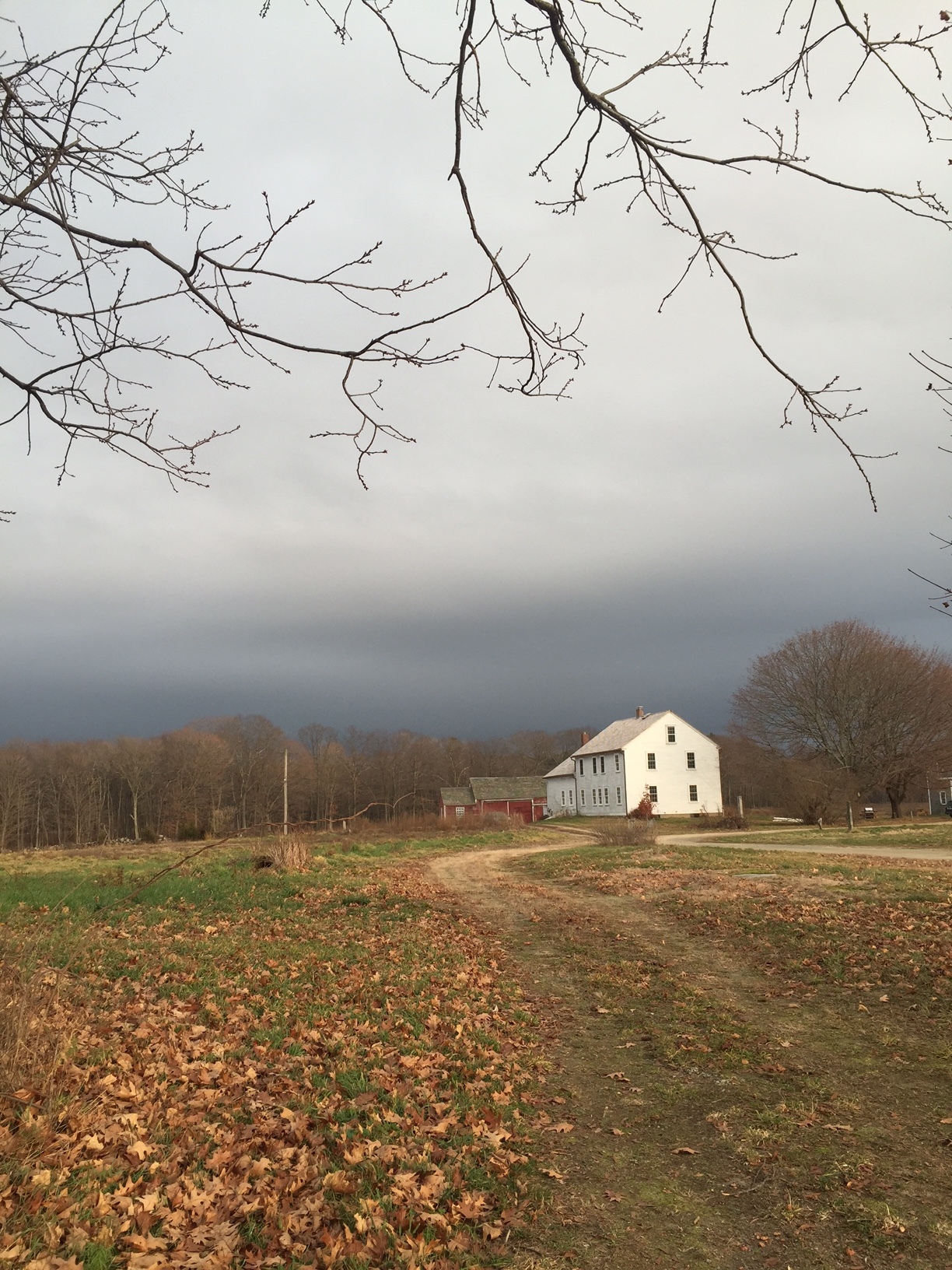 Credit: Hallie Leonard