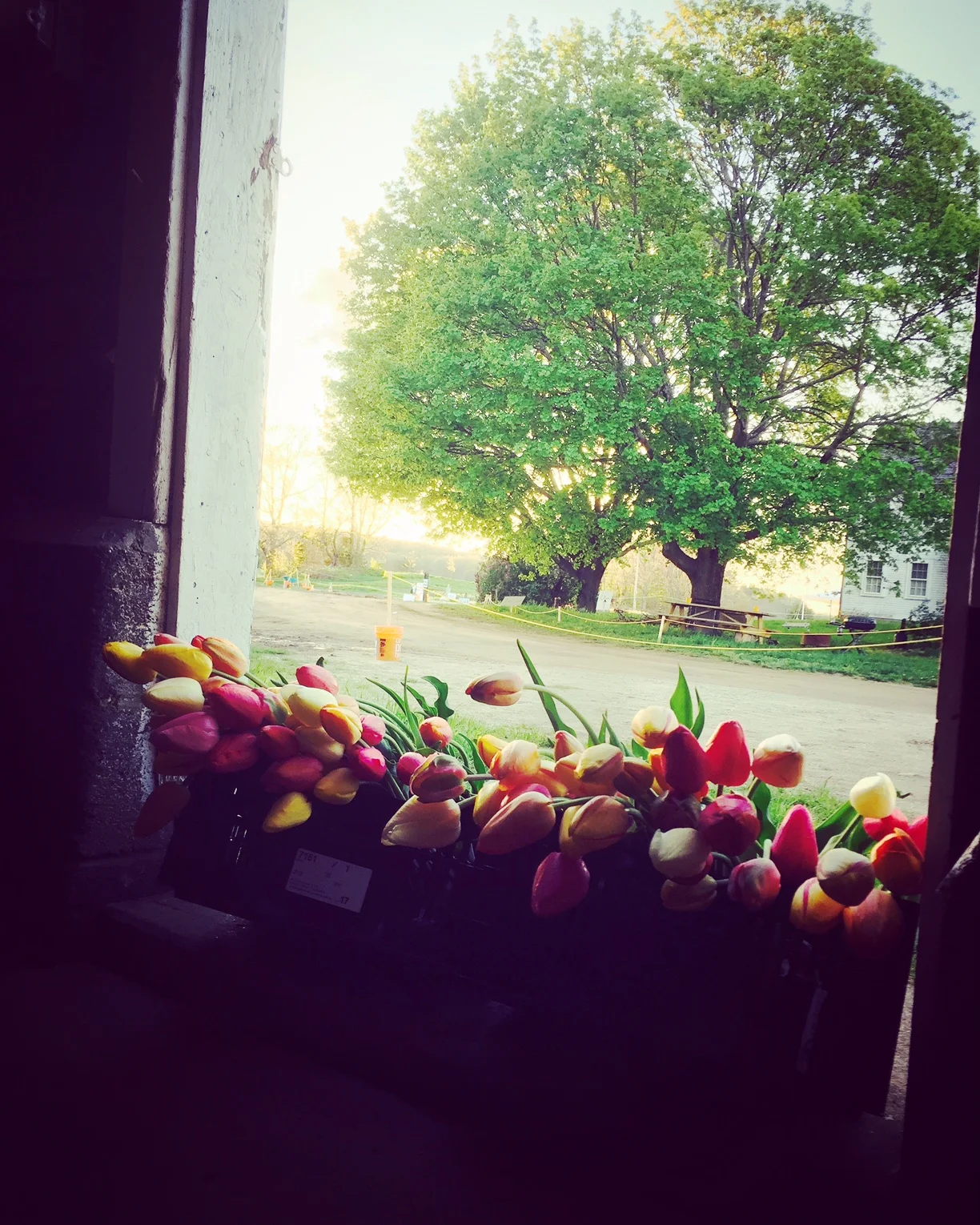 Credit: Hallie Leonard