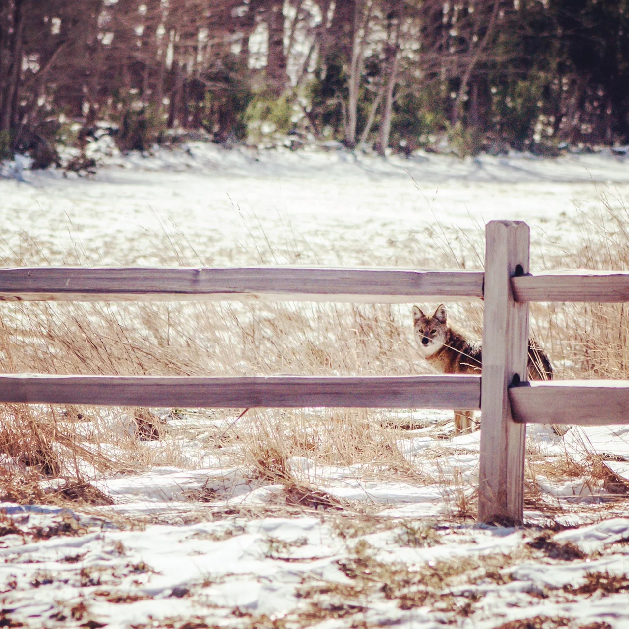 Credit: Hallie Leonard