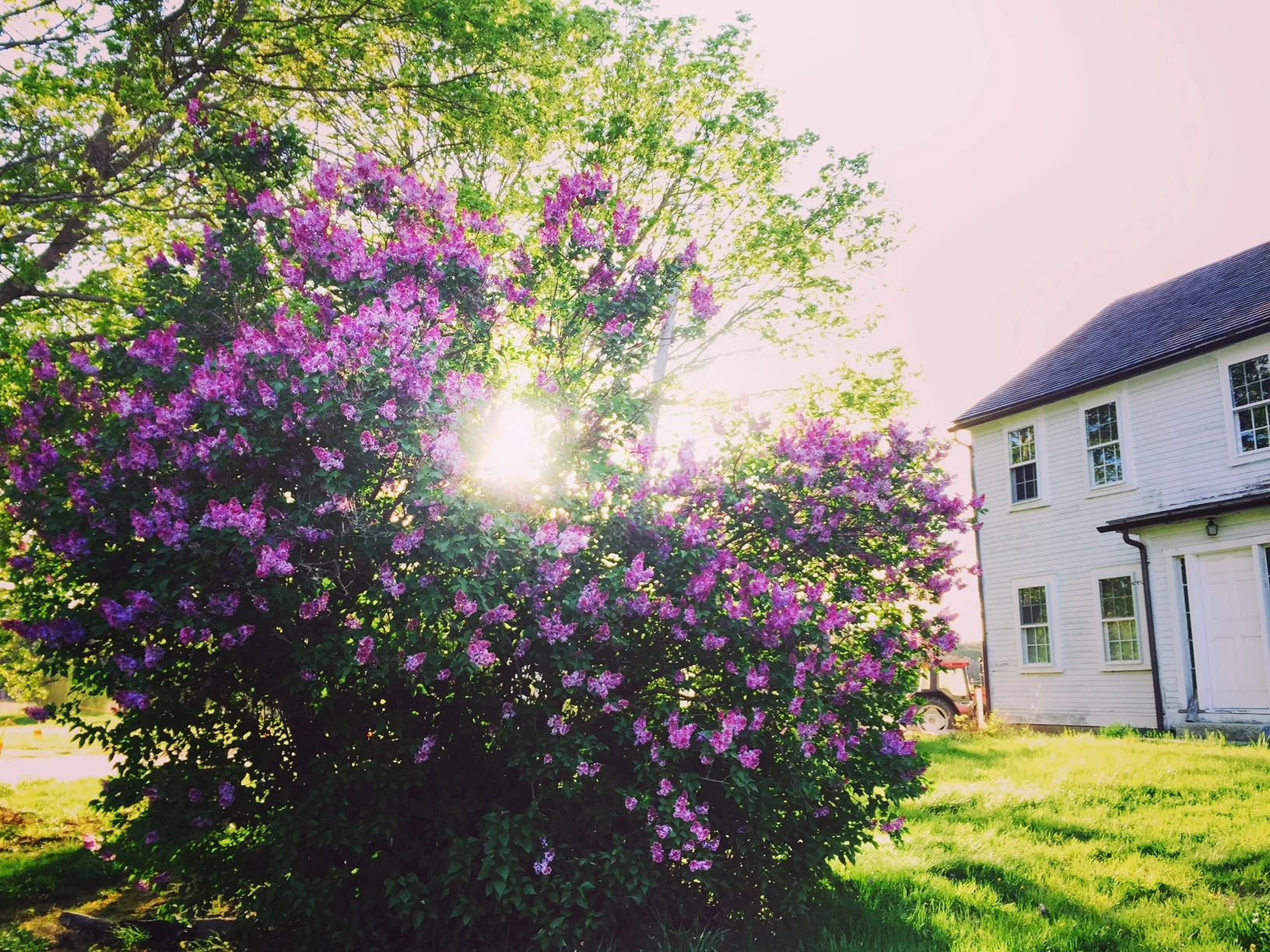 Credit: Hallie Leonard