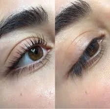 download (12).jpg