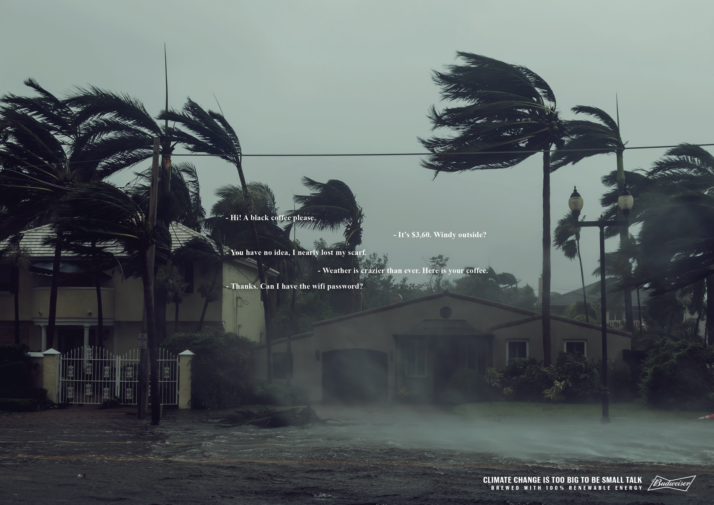 PRINT WIND _ CAFÉ.png