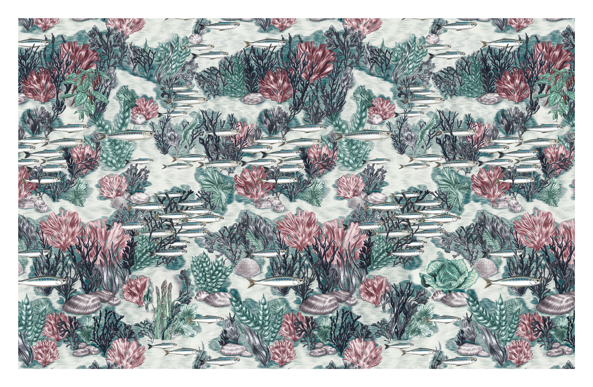 Illustration Marianne Ratier