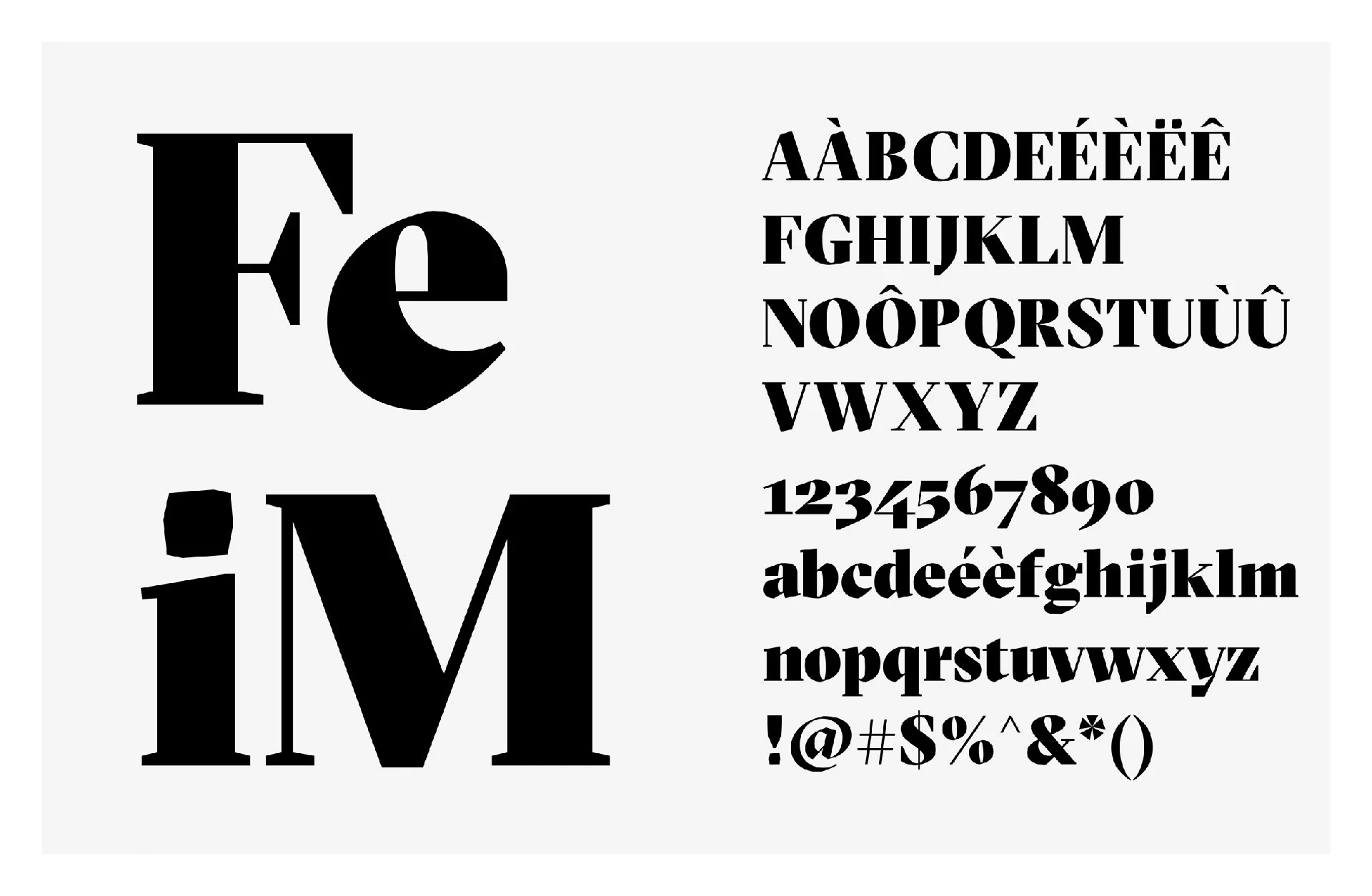 FI_Typographie.jpg