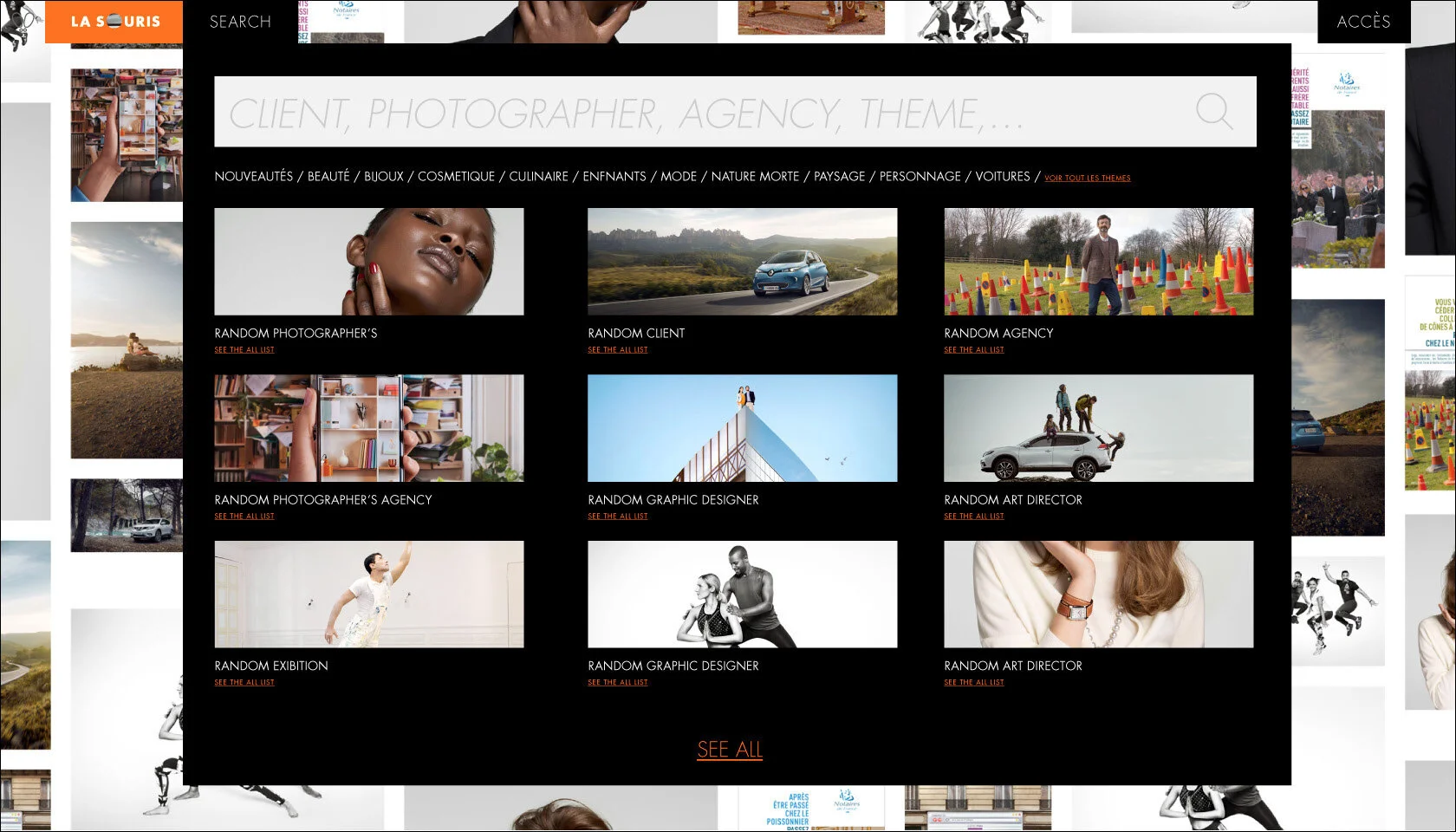 lasouris_Site2017_Layout_Page_08.jpg
