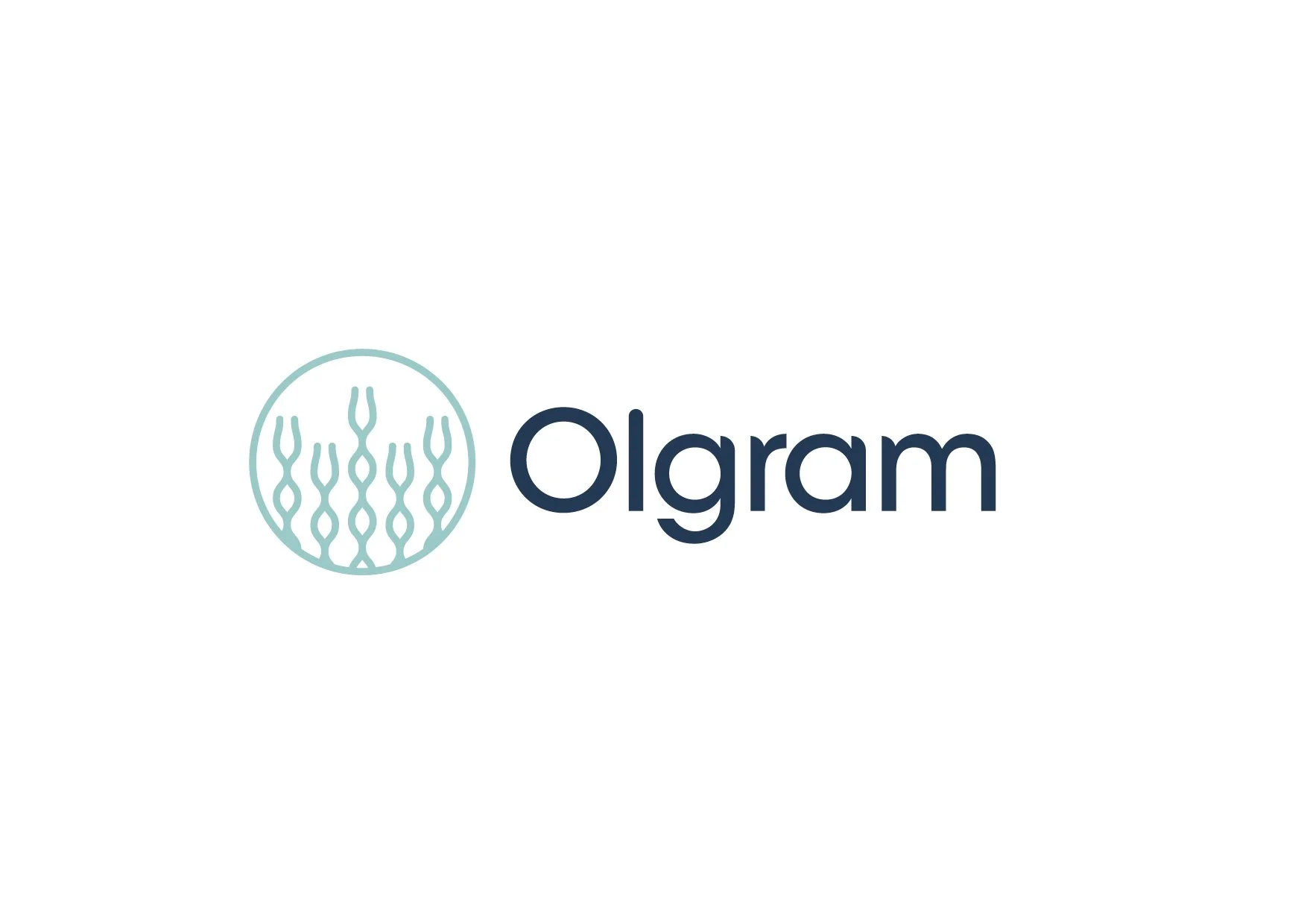 Olgram_GraphicGuidelines2022_web.jpg