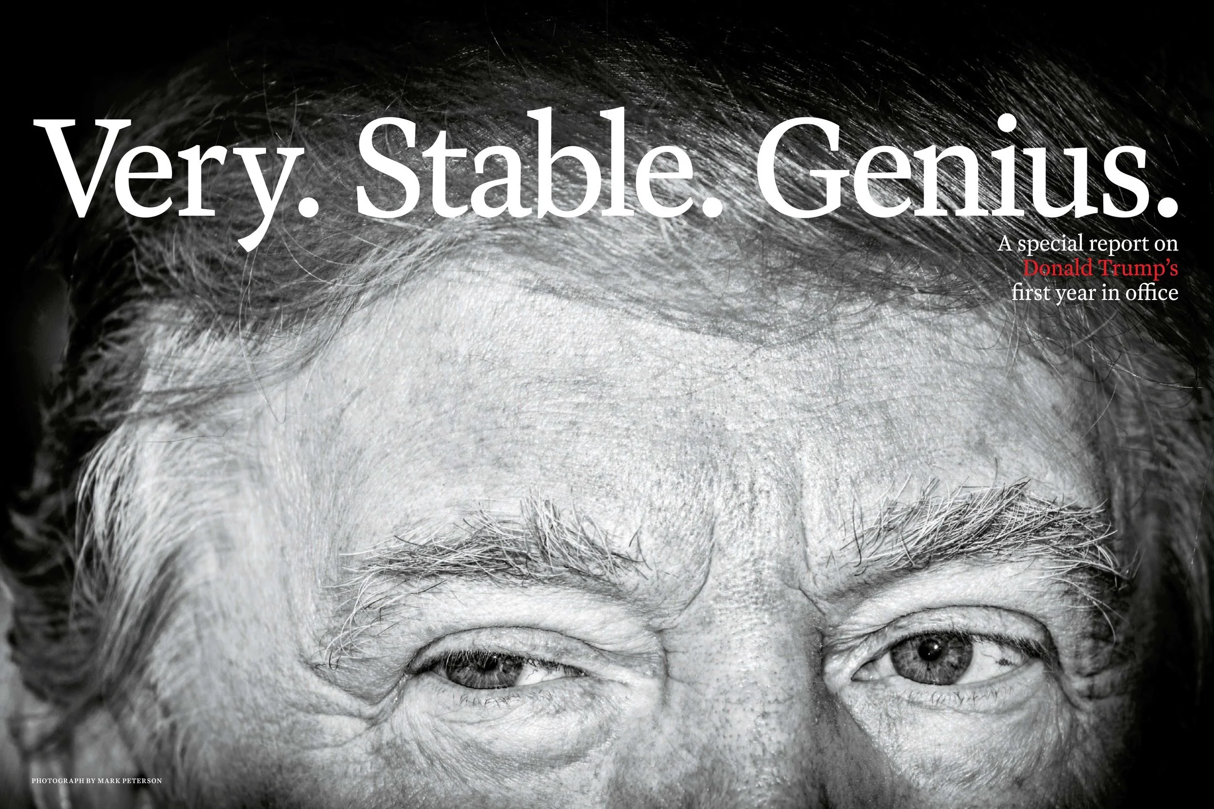 very.-stable.-genius.jpg