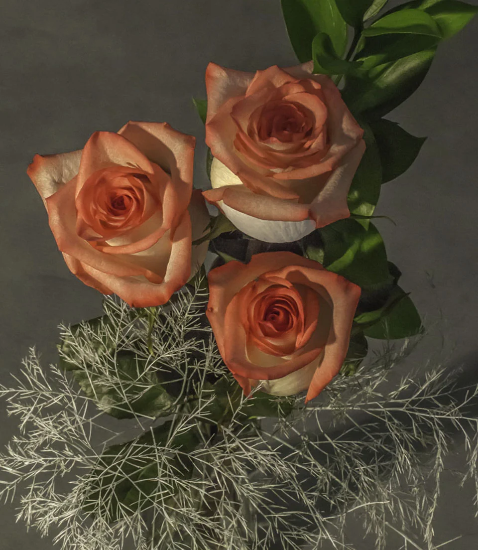 Blush3Topshotg.jpg